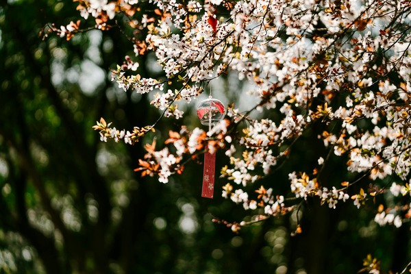 Sustaining Serenity: Nurturing Yard Decor with Butterfly Wind Chimes for Sale